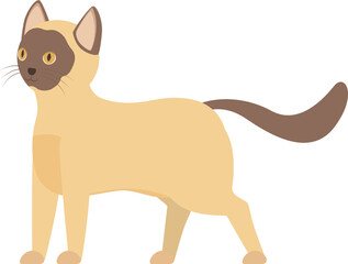 Cute siamese cat walking carefully and looking around with curiosity