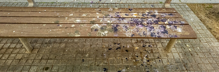 A weathered wooden park bench splattered with bird droppings, evoking urban neglect and cleanliness...