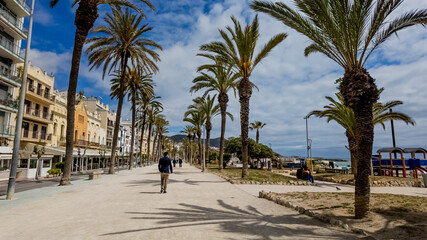 Person walking down a palm-lined promenade by the sea, capturing the essence of summer vacation and leisure travel destinations