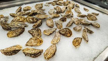 Fresh oysters on ice display at a seafood market, perfect for culinary concepts and gastronomy-related themes, such as National Oyster Day