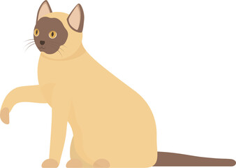 Cute siamese cat sitting and raising paw on white background