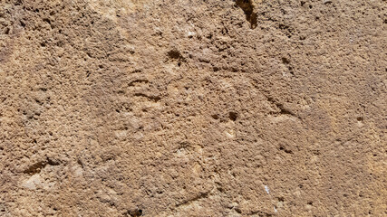 Close-up of animal footprint in dry, cracked soil, ideal for themes related to wildlife, nature conservation, and outdoor adventure