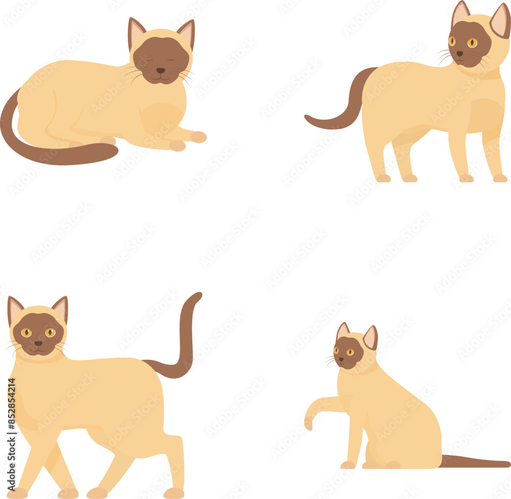 Poster siamese cat illustration set with various poses and cartoon characters in vector format, perfect for