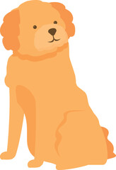Cute cartoon golden retriever dog sitting and waiting patiently