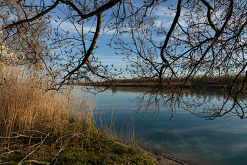 sponda del fiume isonzo, nell'Italia nord orientale, vicino alla foce, durante un pomeriggio con cielo sereno, che si riflette sull'acqua tranquilla e azzurra