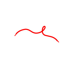 Red Shoelace Vector