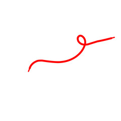 Red Shoelace Vector