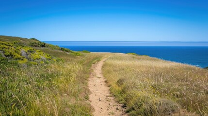 A dirt path meanders uphill towards the ocean with the clear blue sky above