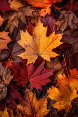 Fototapeta premium Colorful Autumn Leaves on the Ground