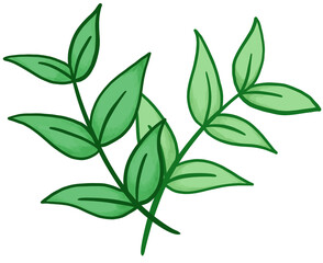 leaf illustration Nature is used to decorate pieces.