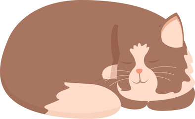 Brown and white cat is sleeping soundly, curled up in a ball