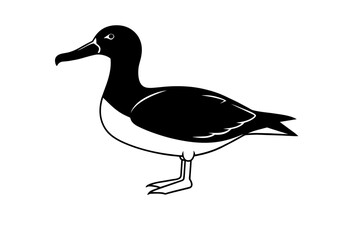 albatross silhouette vector illustration 