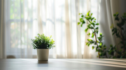 Fototapeta premium A white vase with green leaves sits on a table in front of a window. The sunlight shining through the window casts a warm glow on the vase and the table. Concept of calm and tranquility