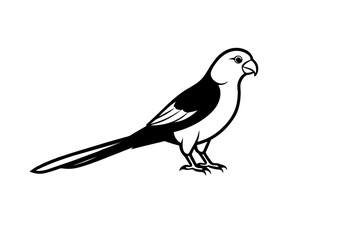 rosella silhouette vector illustration 