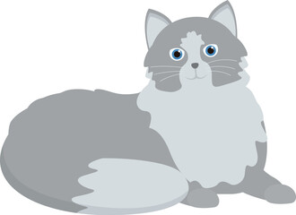 Cartoon grey cat with blue eyes and long hair relaxing on white background