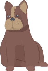 Illustration of a brown french bulldog sitting and looking curious