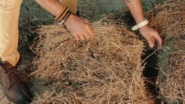 Senior man using hands to throw dry straw out of wheelbarrow while working in sunlit stable on ranch in sunlit barn
