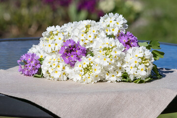 A fresh spring bouquet of fine-toothed primrose lies on the garden table.