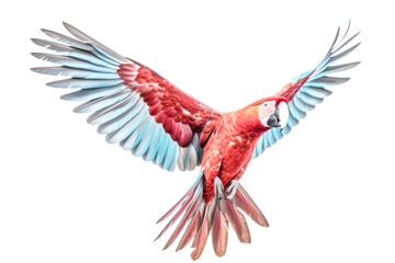 Obraz premium A red and blue parrot is flying in the air.