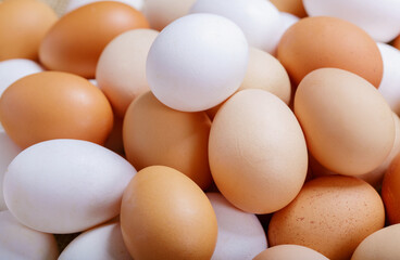 fresh  chicken eggs as background