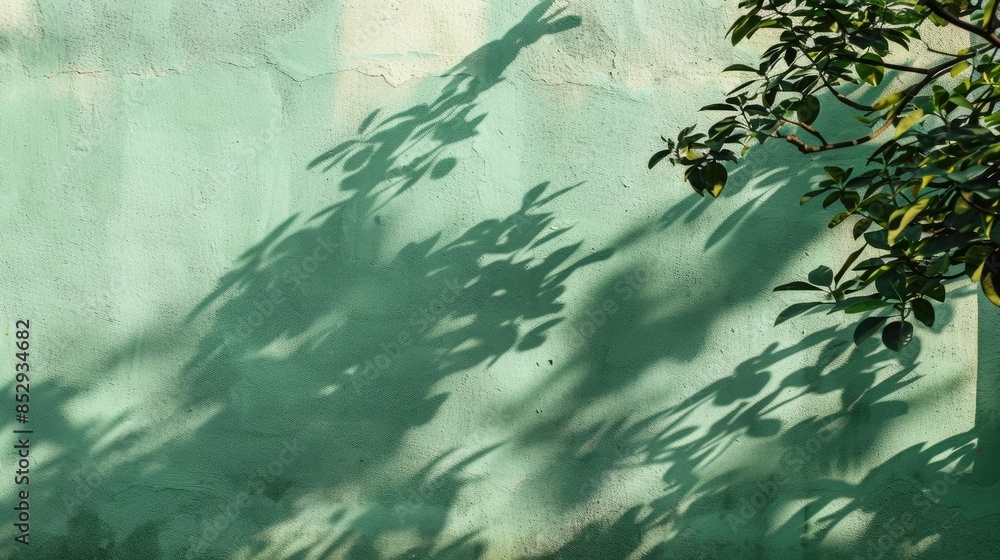 Poster abstract tree shadows on green wall background with text space