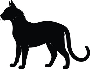 Silhouette Black Horror Cat