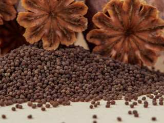 Closeup photography of many poppy heads