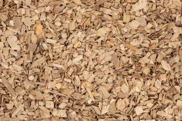 Wooden chips texture background. small wood chips for smoking. sawdust texture. ecological fue
