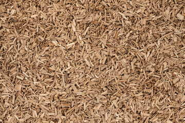 Wooden chips texture background. small wood chips for smoking. sawdust texture. ecological fue