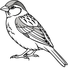 Vector illustration of a sparrow 