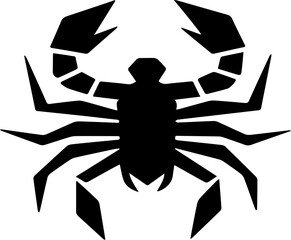 Obraz premium spider Art & Illustration