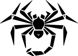 Obraz premium spider Art & Illustration