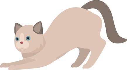 Cartoon ragdoll cat stretching its body, getting ready to play