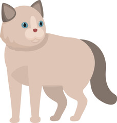 Cute cartoon ragdoll cat standing while curiously looking to the side