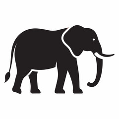 elephant cartoon illustration