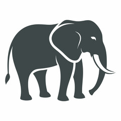 elephant cartoon illustration