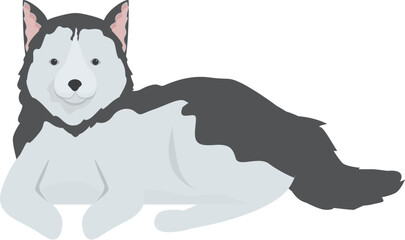 Cartoon siberian husky dog lying on floor, resting after playing with its owner