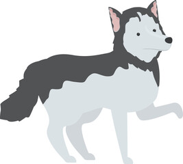 Illustration of a cute siberian husky dog standing in color