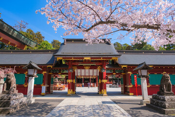 宮城県塩竈市 春の鹽竈神社 唐門