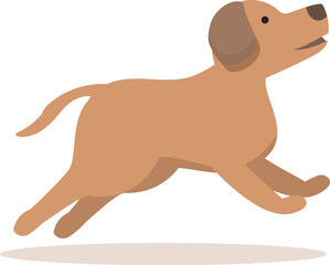 Happy dog running in the air, enjoying a playful moment