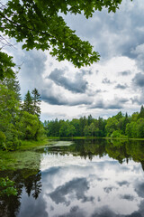 lake in the park