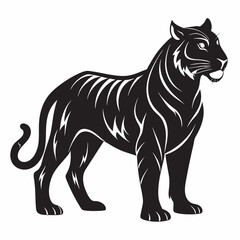 black and white tiger