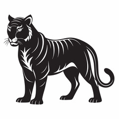 black and white tiger