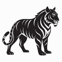 black and white tiger