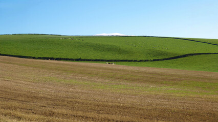 Obraz premium green hill blue sky background