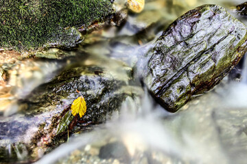 Obraz premium Beautiful landscape of a mountain stream in the forest.