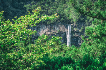 Fototapeta premium View with Nachi Waterfall located in Nachikatsuura, Wakayama, Japan
