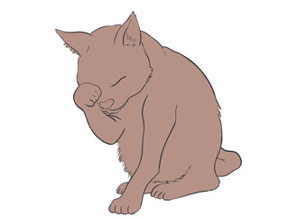 顔を洗う猫　02