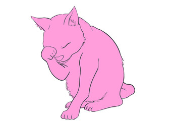 Obraz premium 顔を洗う猫 01