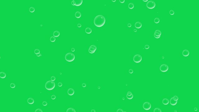 Water bubbles rising animation soda overlay loop on green screen chroma key alpha channel background